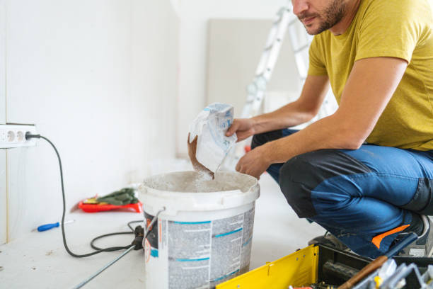 Best Crawl Space Mold Remediation  in Corunna, MI